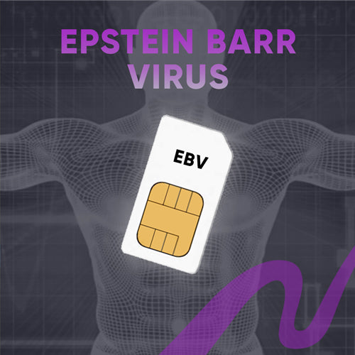 Epstein Barr Virus Chipkarte